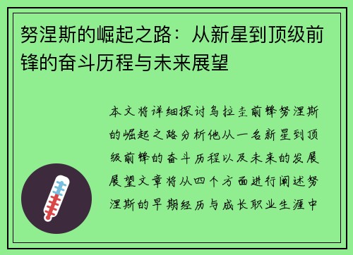 努涅斯的崛起之路：从新星到顶级前锋的奋斗历程与未来展望