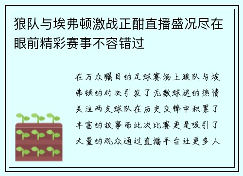狼队与埃弗顿激战正酣直播盛况尽在眼前精彩赛事不容错过